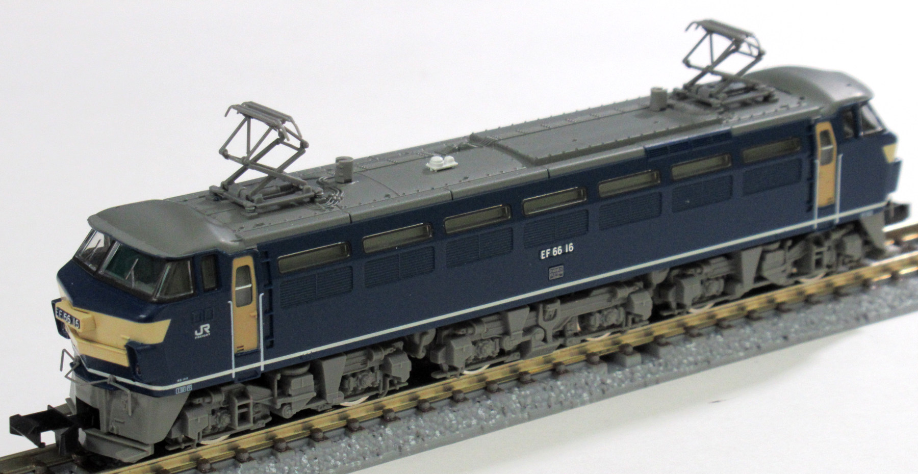 92977バラ EF66-16